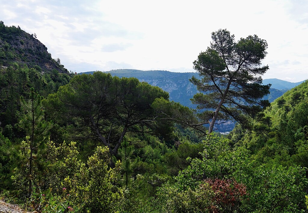 Entreprise renovation interieure Alpes-Maritimes