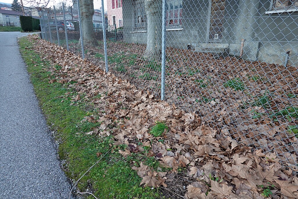 Entreprise renovation interieure Bellegarde-sur-Valserine