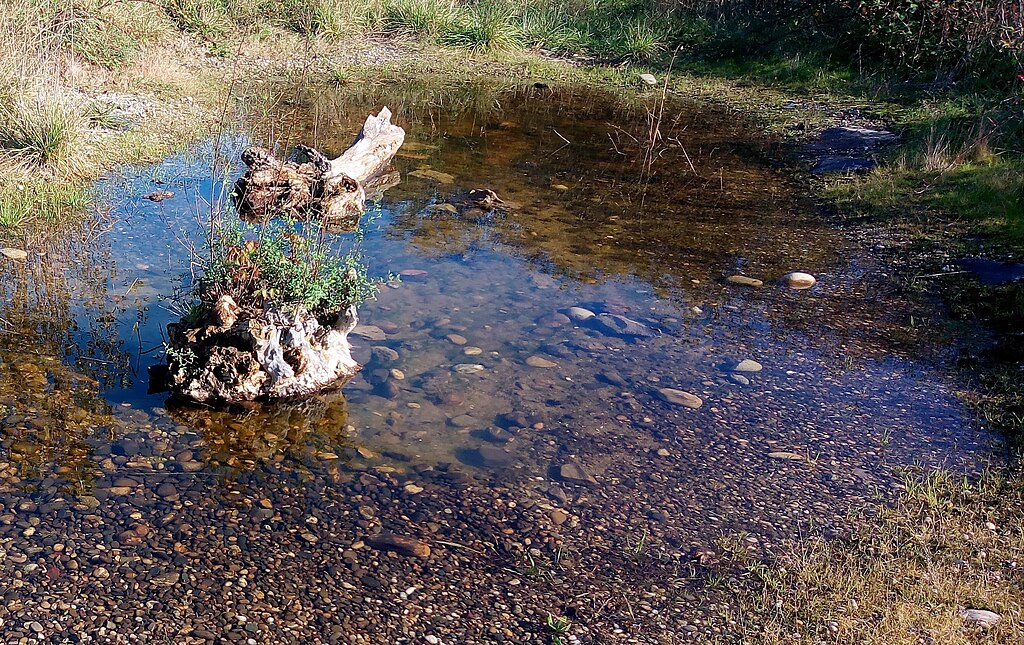 Entreprise renovation interieure Wittenheim