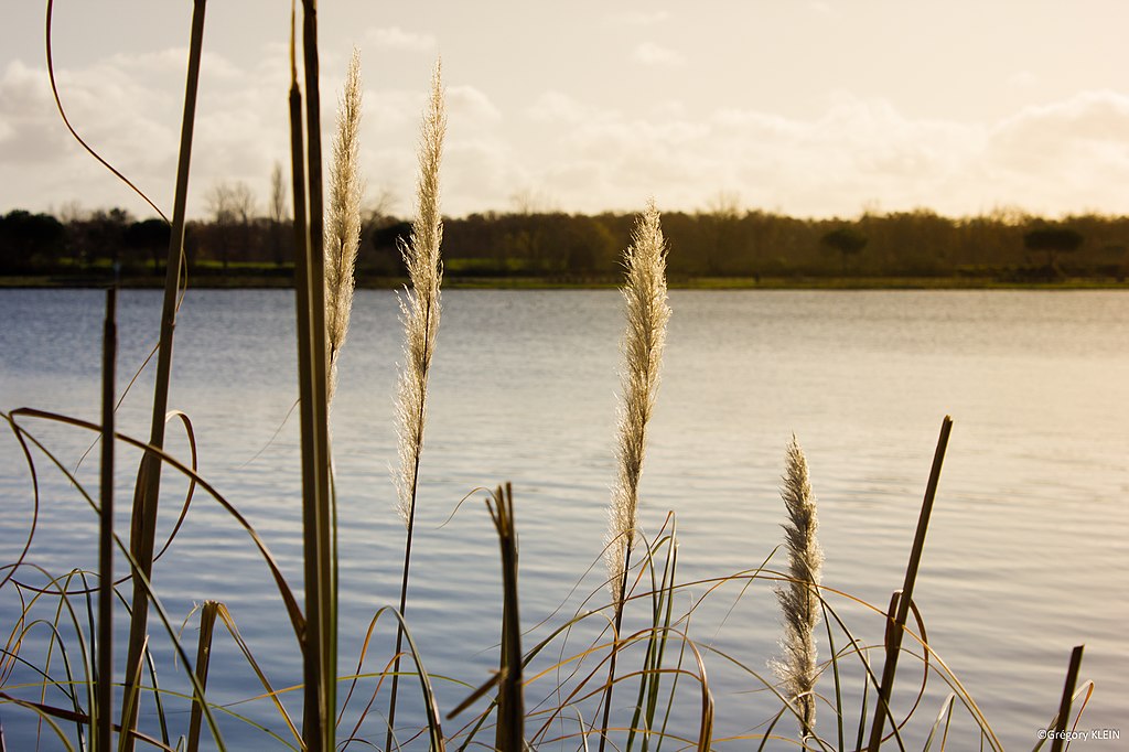 Entreprise renovation interieure Tournefeuille