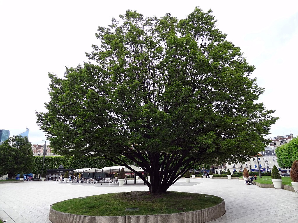 Entreprise renovation interieure Puteaux