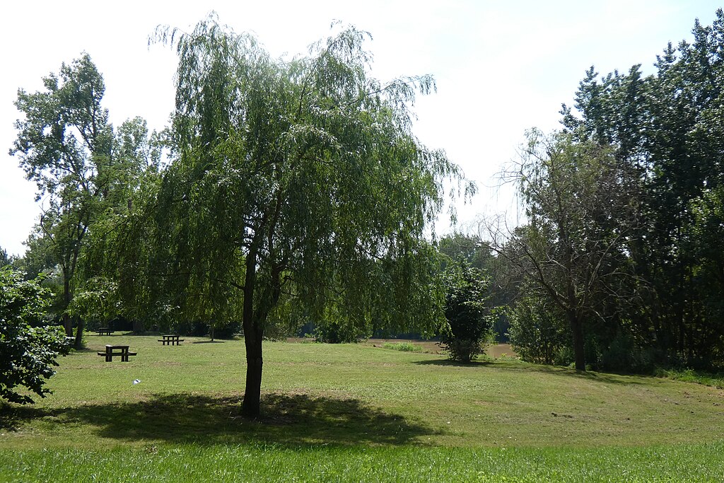 Entreprise renovation interieure Marmande