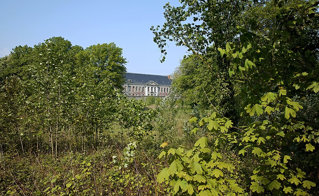 Entreprise renovation interieure Loos